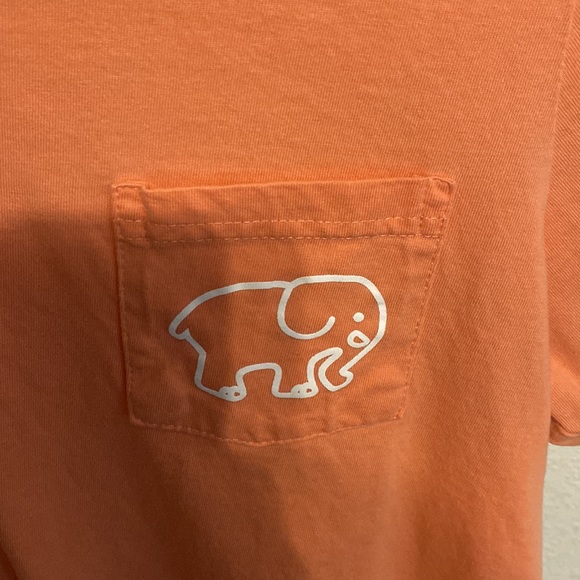 Pink ivory Ella t-shirt, size S - Picture 2 of 4